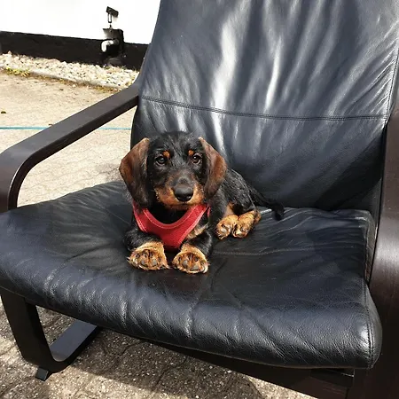 Wiehelund - Grossenwiehe * Lindewitt